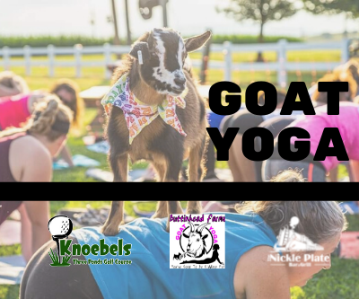 Goat Yoga!